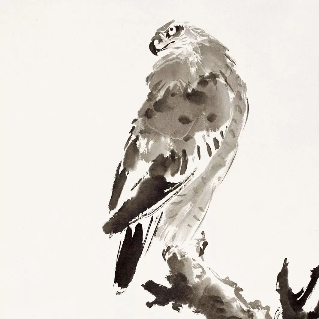 100幅禽鳥百圖，國畫鳥類美醉了！