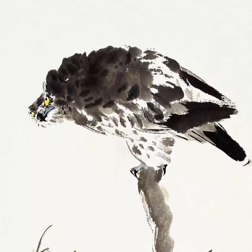 100幅禽鳥百圖，國畫鳥類美醉了！