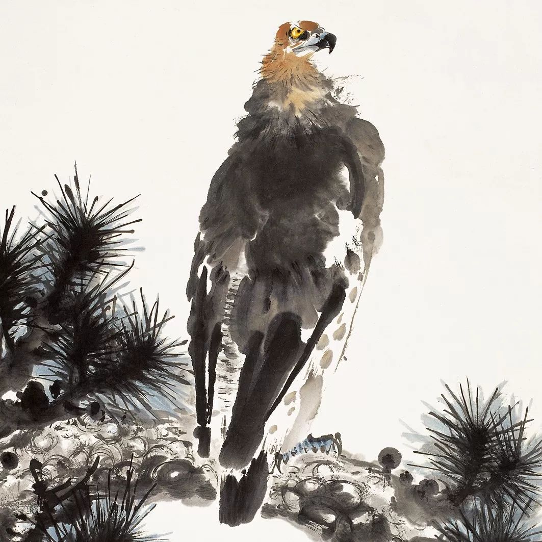 100幅禽鳥百圖，國畫鳥類美醉了！