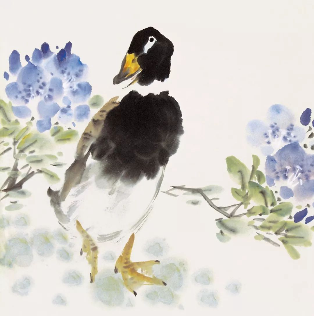 100幅禽鳥百圖，國畫鳥類美醉了！