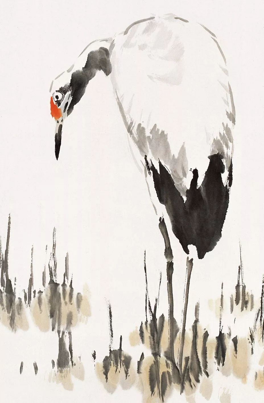 100幅禽鳥百圖，國畫鳥類美醉了！