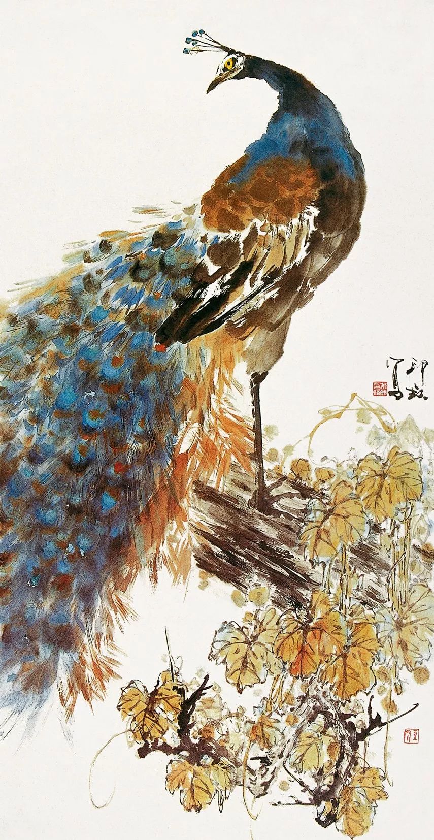 100幅禽鳥百圖，國畫鳥類美醉了！