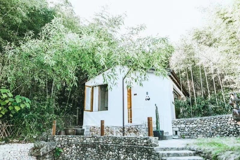 莫干山·柒竹悠南山，安靜的世外桃源