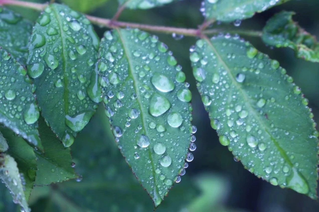 莫干山·柒竹悠南山，安靜的世外桃源