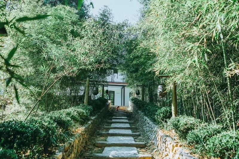 莫干山·柒竹悠南山，安靜的世外桃源