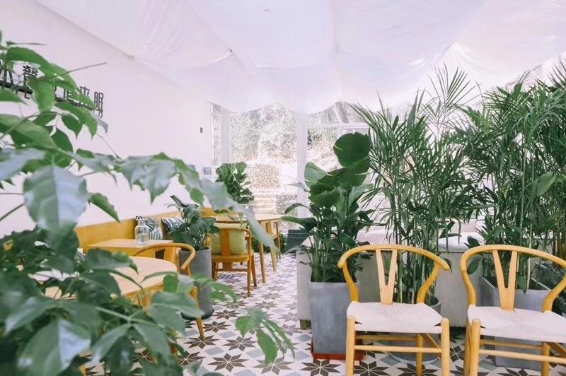 莫干山·柒竹悠南山，安靜的世外桃源