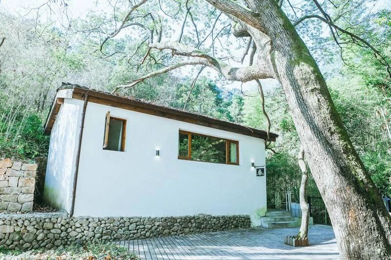 莫干山·柒竹悠南山，安靜的世外桃源