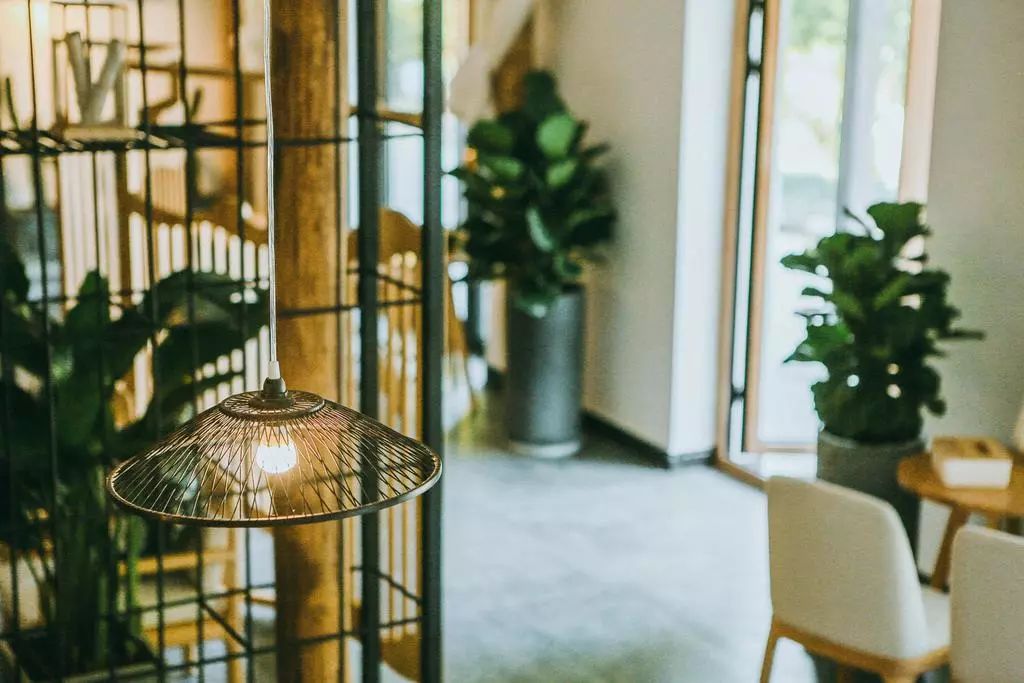 莫干山·柒竹悠南山，安靜的世外桃源