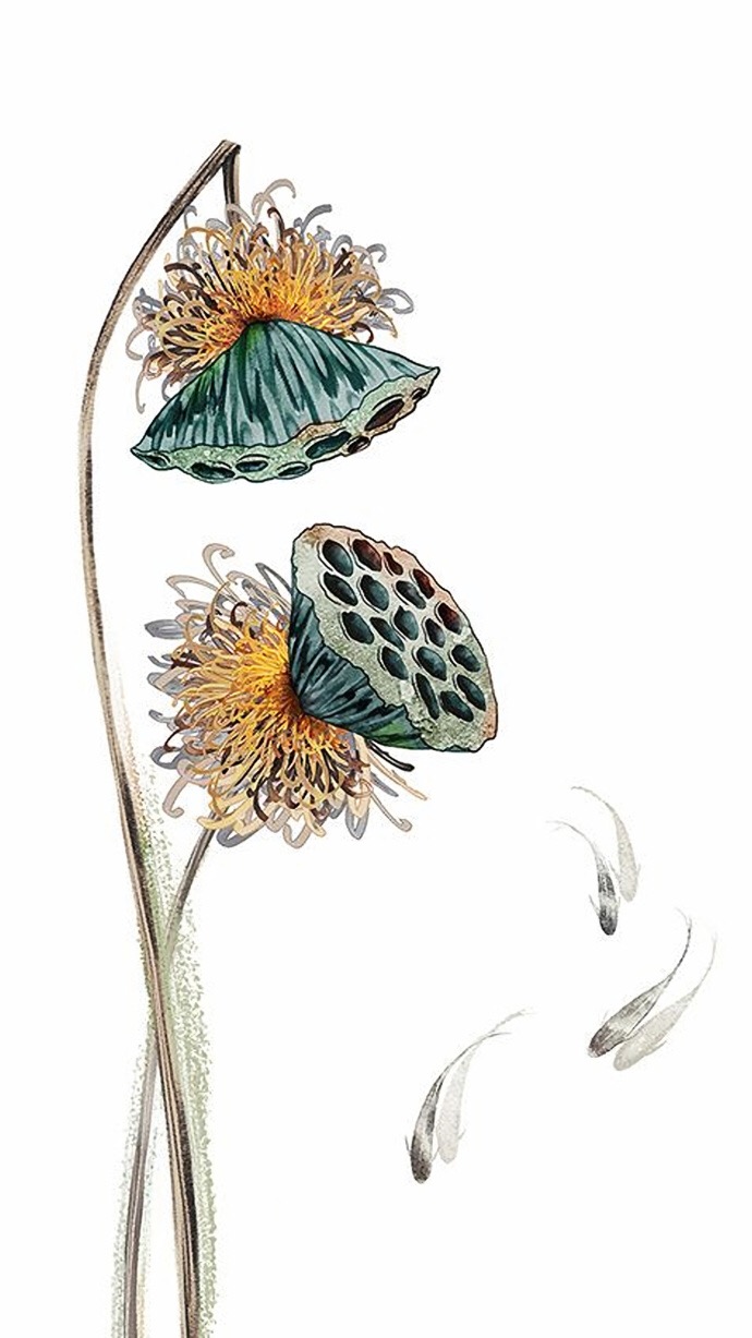 驚艷迷人的古風(fēng)圖片，超美古風(fēng)手機(jī)壁紙圖集