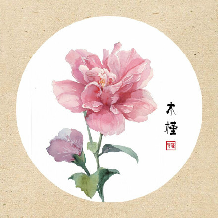 清新古風(fēng)花卉插畫，可作頭像的花卉插畫圖片