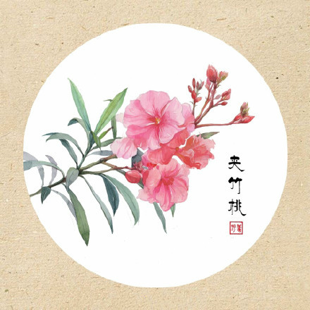 清新古風(fēng)花卉插畫，可作頭像的花卉插畫圖片