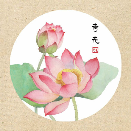 清新古風(fēng)花卉插畫，可作頭像的花卉插畫圖片