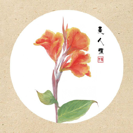 清新古風(fēng)花卉插畫，可作頭像的花卉插畫圖片