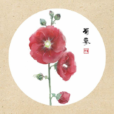 清新古風(fēng)花卉插畫，可作頭像的花卉插畫圖片