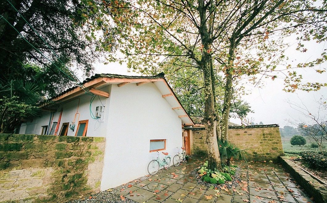 一所茶園里的民宿，過著鄉(xiāng)下悠閑愜意的日子