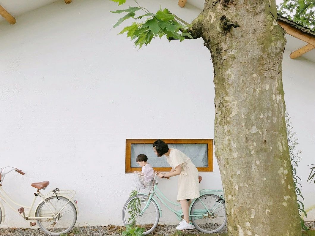 一所茶園里的民宿，過著鄉(xiāng)下悠閑愜意的日子