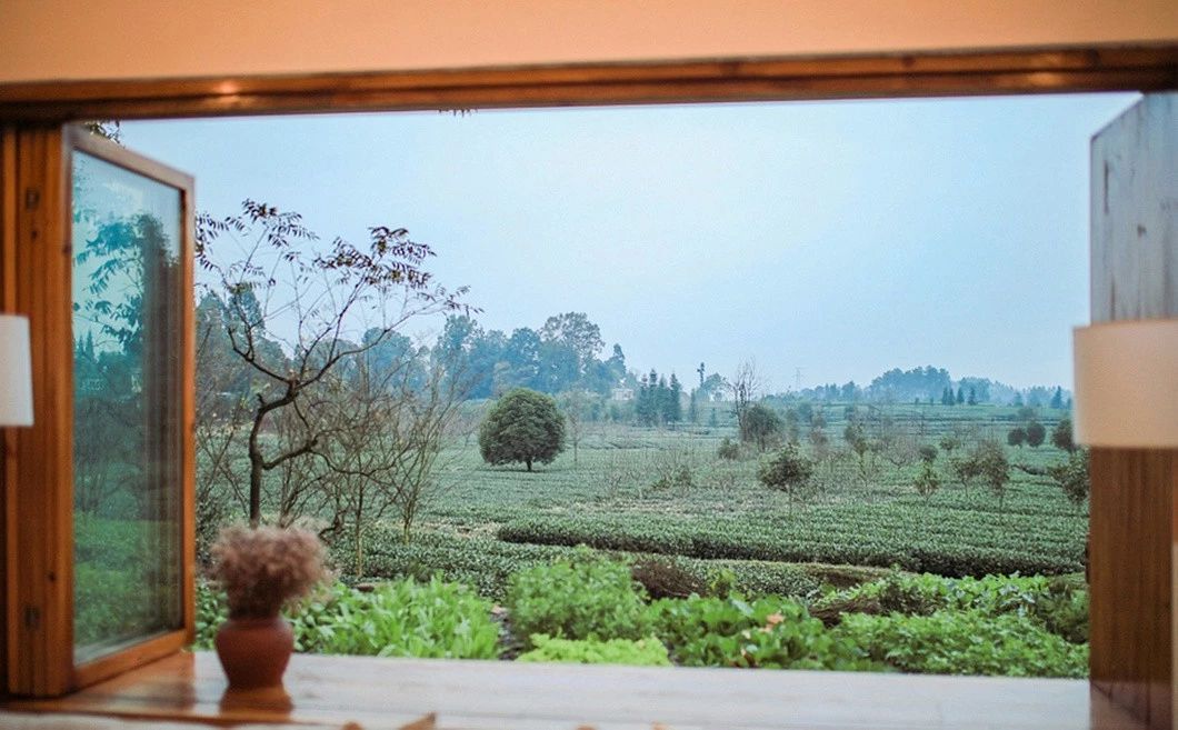 一所茶園里的民宿，過著鄉(xiāng)下悠閑愜意的日子