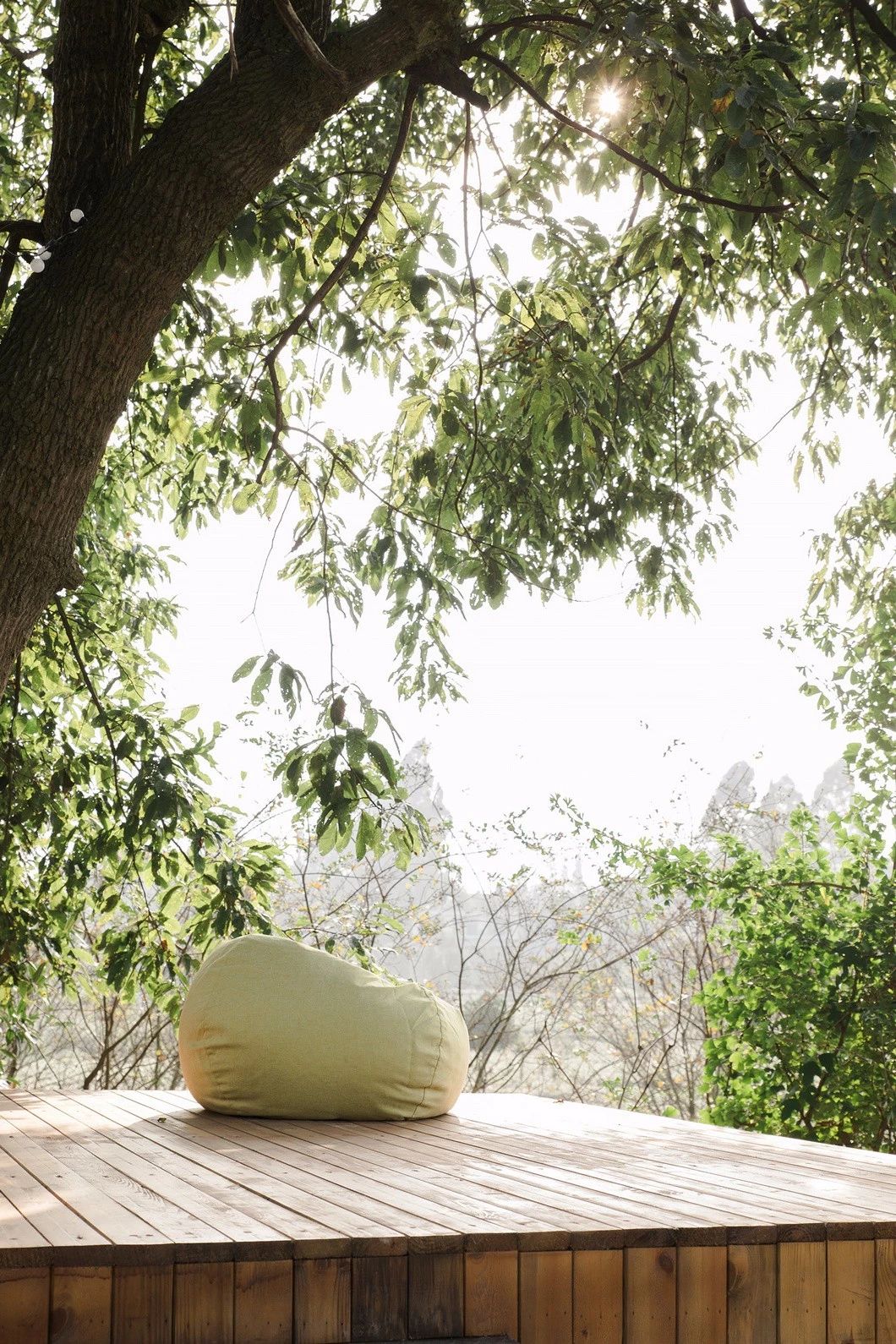 一所茶園里的民宿，過著鄉(xiāng)下悠閑愜意的日子