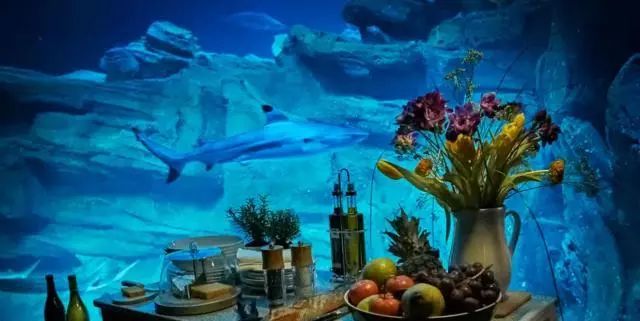 奇屋一夜民宿設(shè)計(jì)集合，把民宿開在了長城上