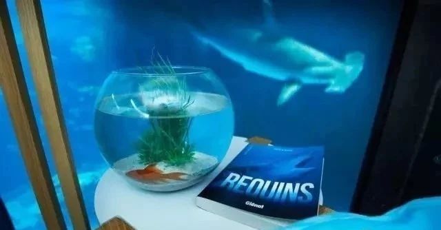 奇屋一夜民宿設(shè)計(jì)集合，把民宿開在了長城上