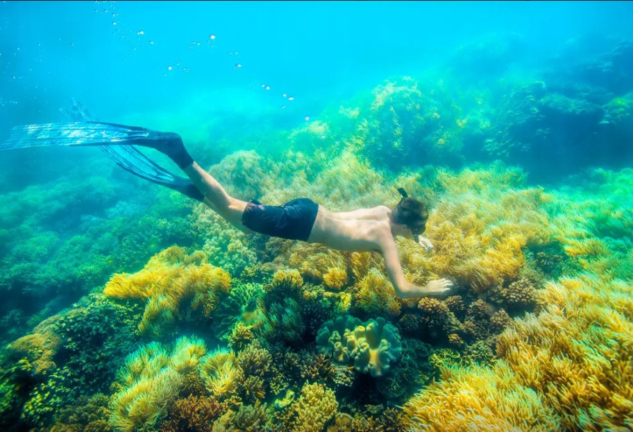 奇屋一夜民宿設(shè)計(jì)集合，把民宿開在了長城上