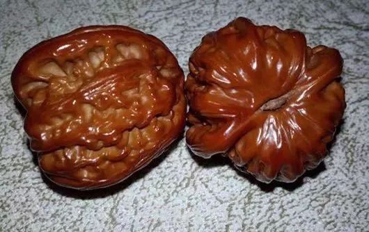 如何辨別真假核桃？五招辨別真假的方法