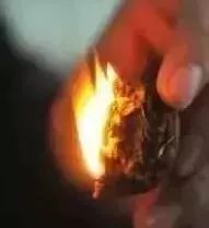 如何辨別真假核桃？五招辨別真假的方法