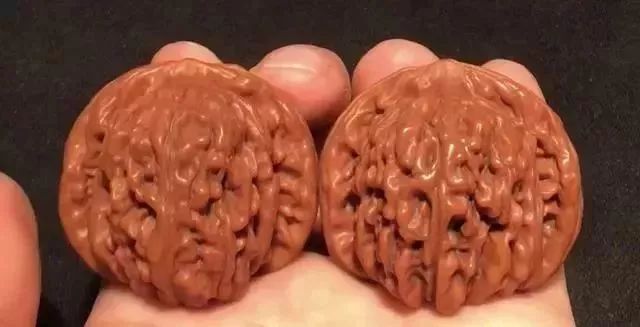 如何辨別真假核桃？五招辨別真假的方法