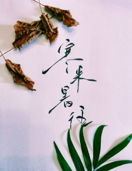 別致新穎的書法字體，美的很有意境！