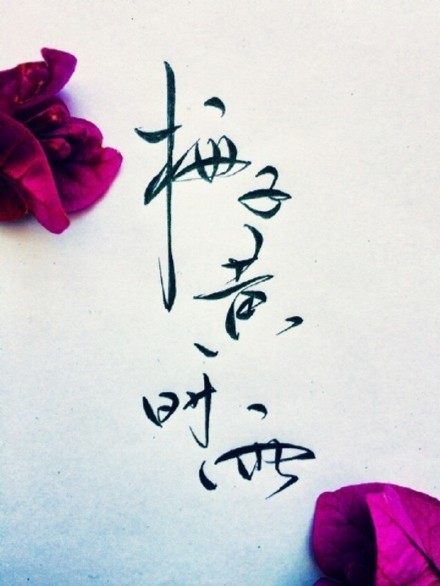 別致新穎的書法字體，美的很有意境！