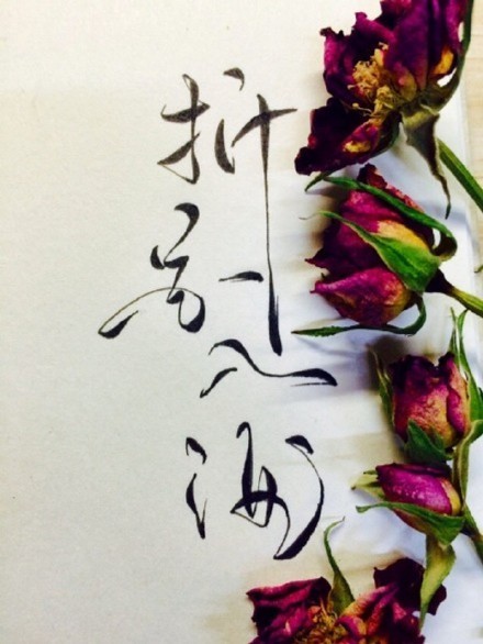 別致新穎的書法字體，美的很有意境！