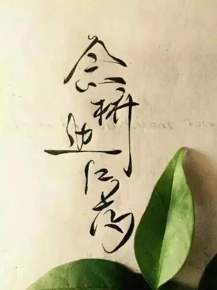 別致新穎的書法字體，美的很有意境！