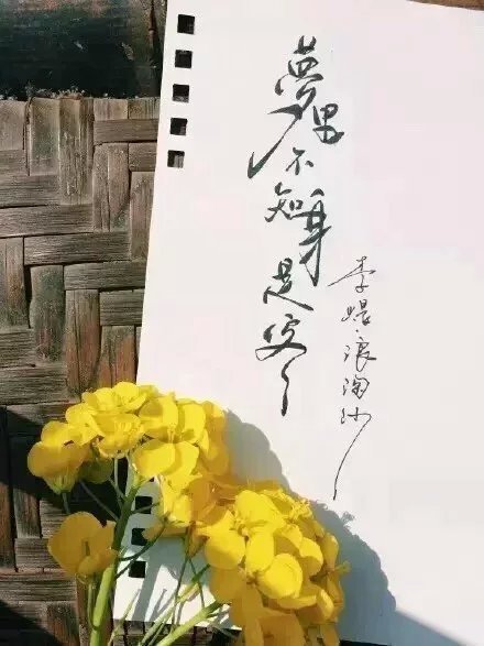 別致新穎的書法字體，美的很有意境！