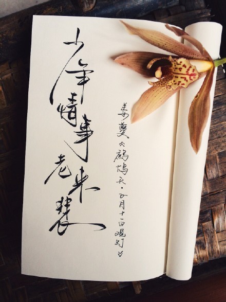 別致新穎的書法字體，美的很有意境！