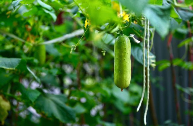 安吉·仁里息心廬，擁泉而居枕山而眠!