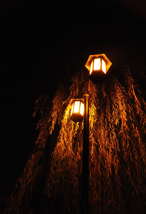 中式燈具之美，美燈配美景美哉