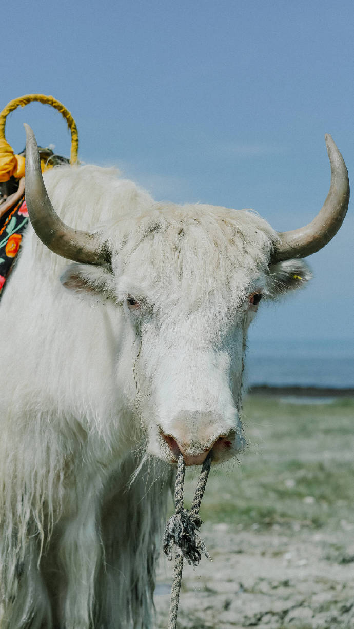 超美路途風(fēng)景攝影圖片，高清風(fēng)景手機壁紙圖集