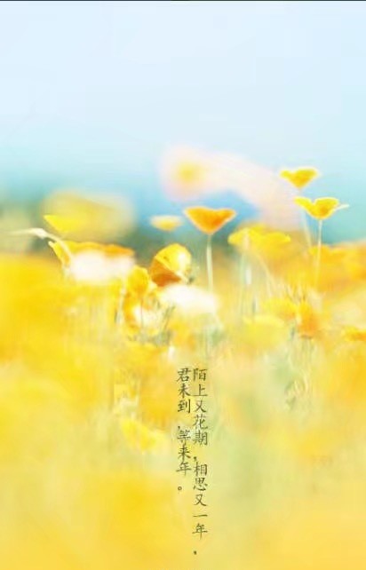 唯美帶文字古風圖片，清新有意境古風壁紙圖集