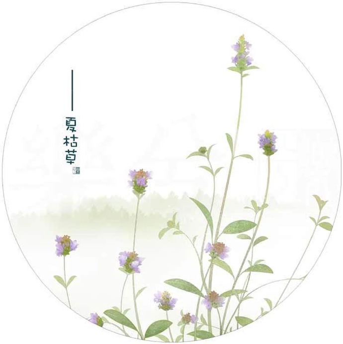 清新植物花卉插畫，可作頭像的插畫圖片