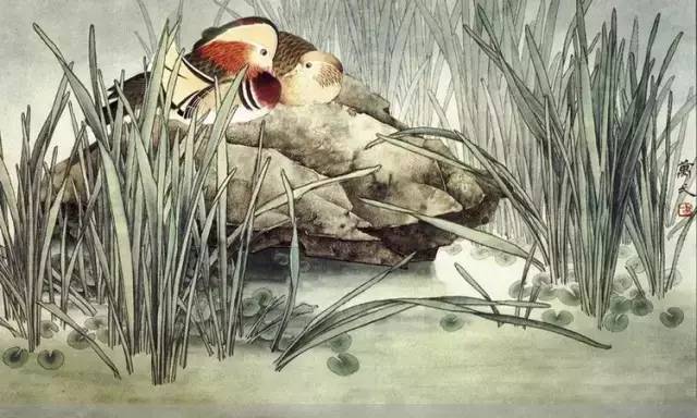 鴛鴦戲水圖集(18張)，好漂亮的國畫圖片