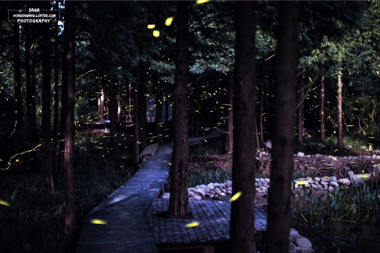 6家莫干山的新民宿，美出新境界