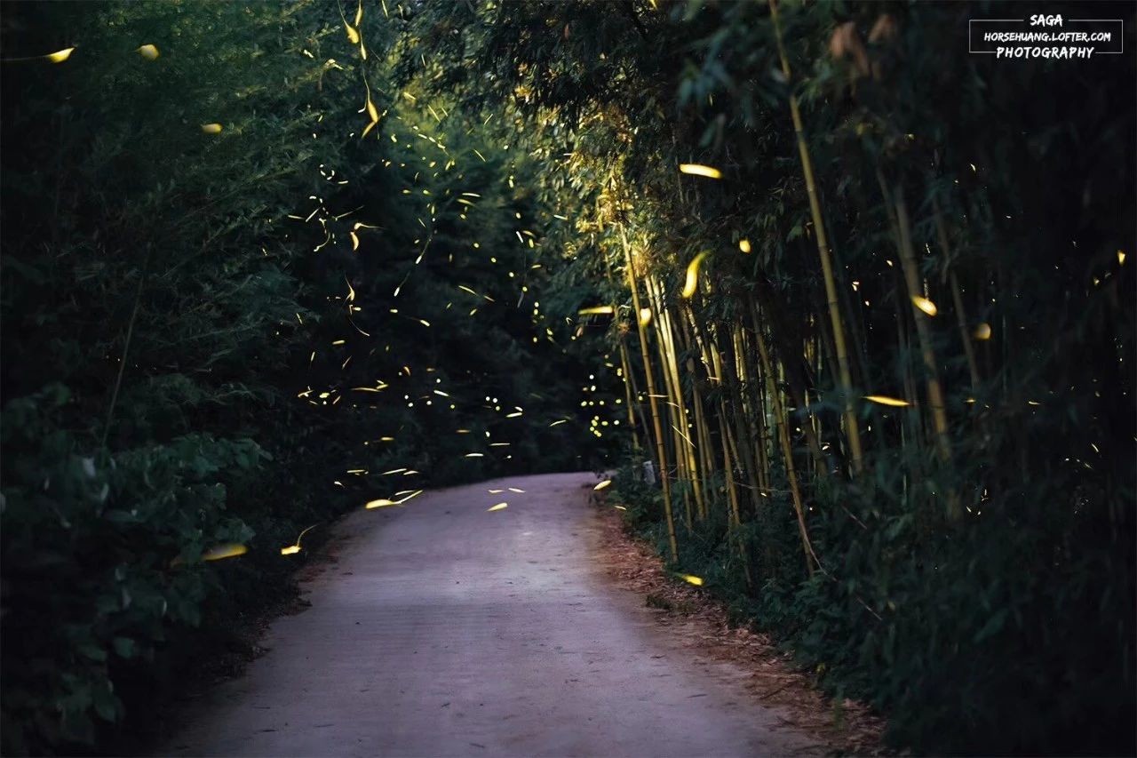 6家莫干山的新民宿，美出新境界