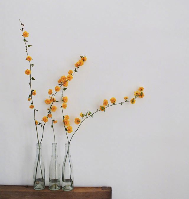 小清新插花藝術(shù)欣賞，生活如此美好