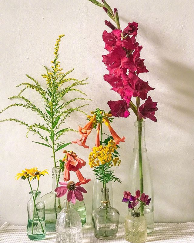 小清新插花藝術(shù)欣賞，生活如此美好