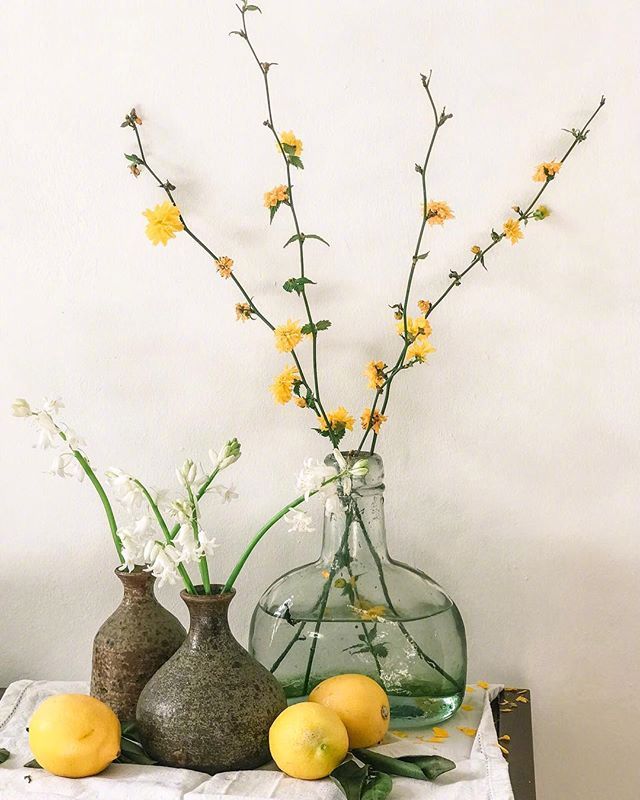 小清新插花藝術(shù)欣賞，生活如此美好