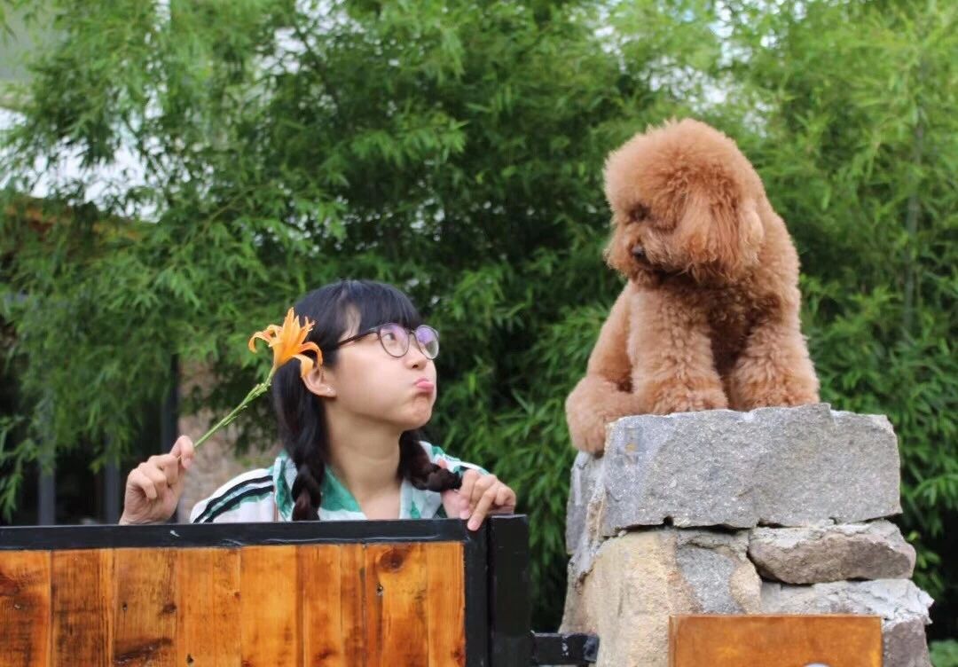 麗水遂昌|云逸遠(yuǎn)山，擁有超美的云海和銀河