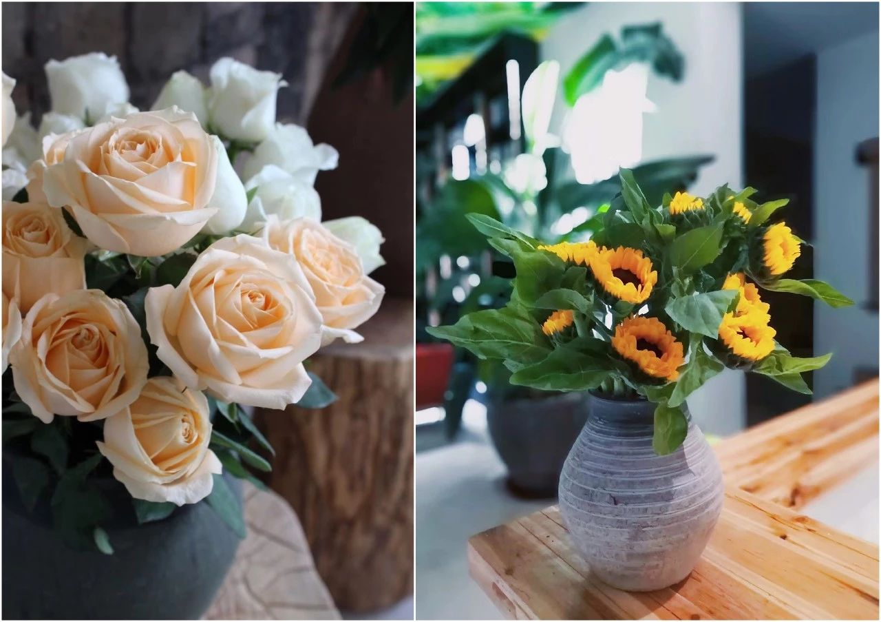 麗水遂昌|云逸遠(yuǎn)山，擁有超美的云海和銀河