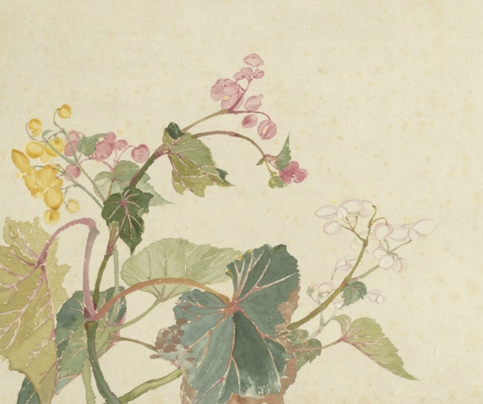 超美國畫圖集欣賞(52張)，高清國畫圖片賞析