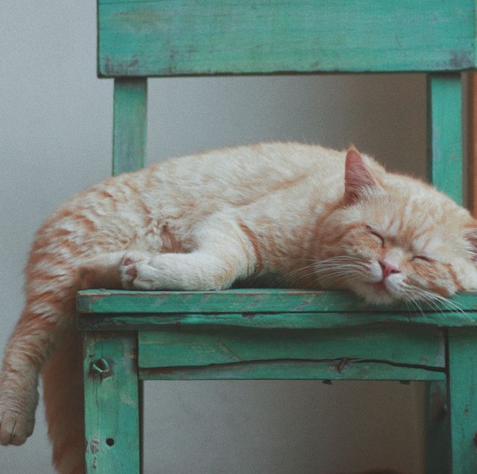 3家不錯(cuò)的杭州民宿，度過最驚艷的時(shí)光