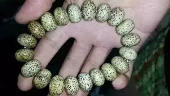 如何盤(pán)出包漿星月菩提？驚艷菩提包漿的全過(guò)程